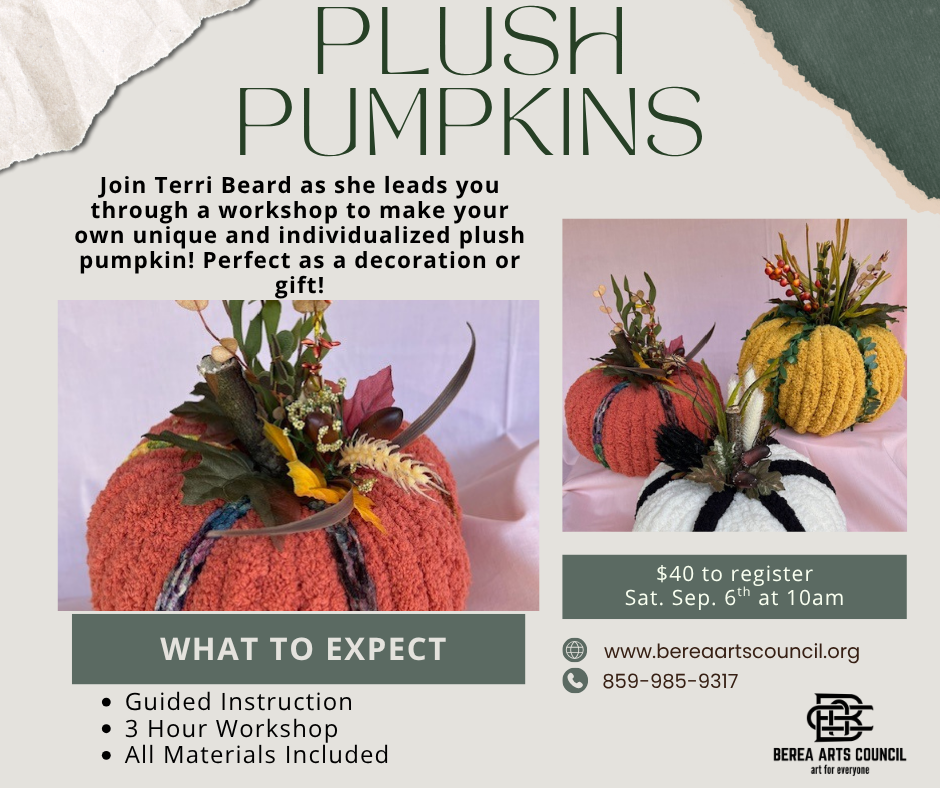 Plush Pumpkin Workshop